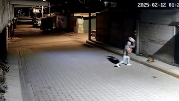 Agresor de “Huesitos” es detenido