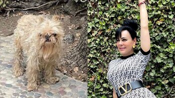 (Foto: Instagram/@maribelguardia)