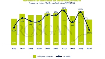 Retención récord de terneros: la zafra más lenta en una década cambia la dinámica ganadera