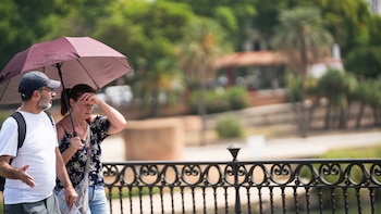 El cambio climático lleva al límite la salud de los europeos con alergias, enfermedades infecciosas y muertes por calor