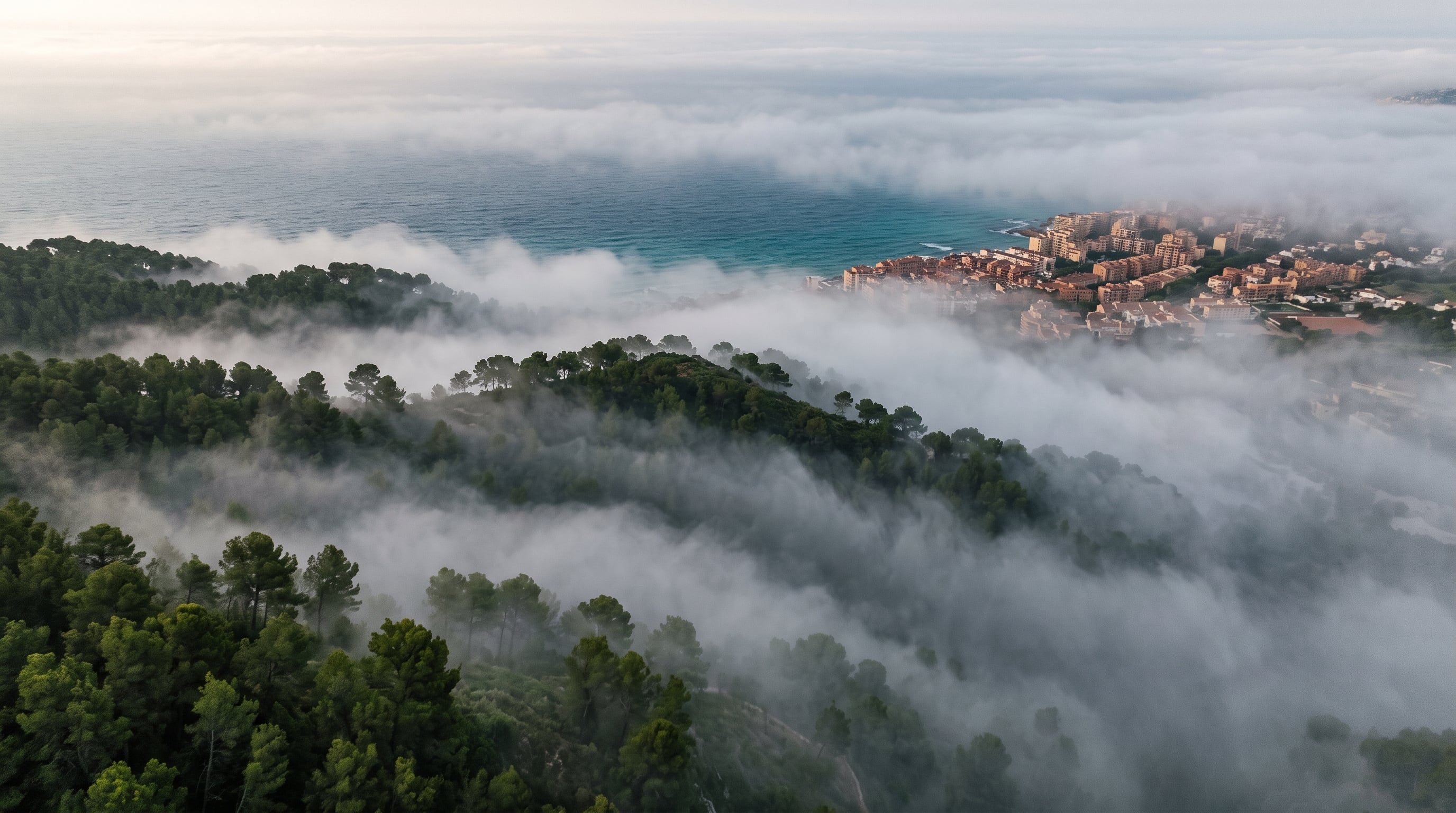 La NOAA distingue tipos de niebla como la de advección, la de evaporación, la engelante, la de valle y la de ladera según cómo el aire alcanza la saturación (Imagen Ilustrativa Infobae)
