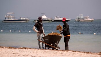 Eles relataram chegada excessiva de