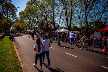 Calle de Domingo: corte de
