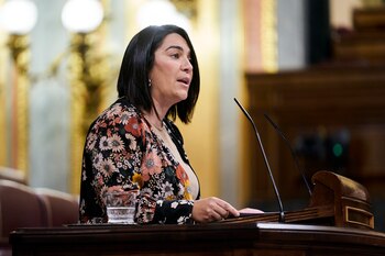 21-12-2021 La diputada de Ciudadanos,