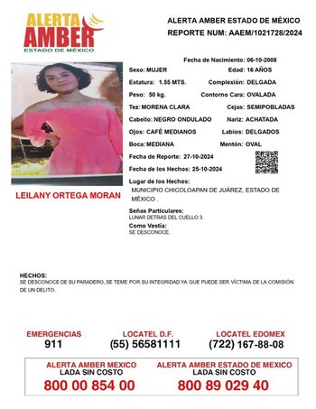 Casos de menores desaparecidos 30