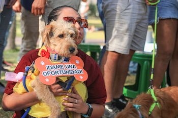 Servicios veterinarios gratuitos, feria para