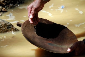 La auditoría forense concluyó que Meprecol no acreditó la trazabilidad del oro ni el recorrido del dinero público durante la administración estatal - crédito Albeiro Lopera/Reuters