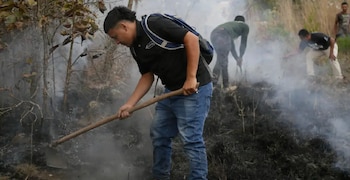 Expertos advierten que los cambios en los patrones climáticos están alterando los ciclos de siembra y poniendo en riesgo la seguridad alimentaria. (Foto: Redes sociales)