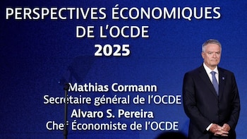 La OCDE advirtió que la