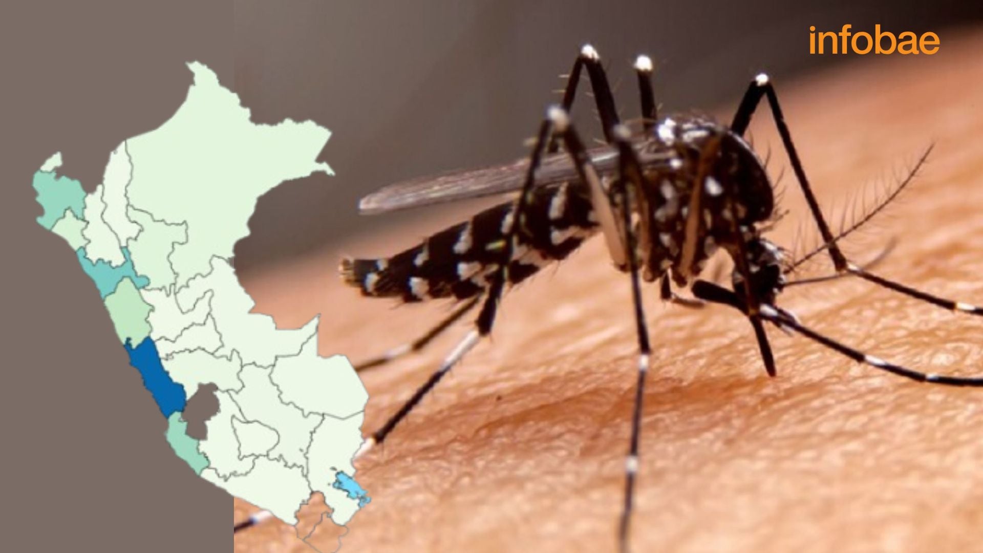 Imagen: Infobae Perú