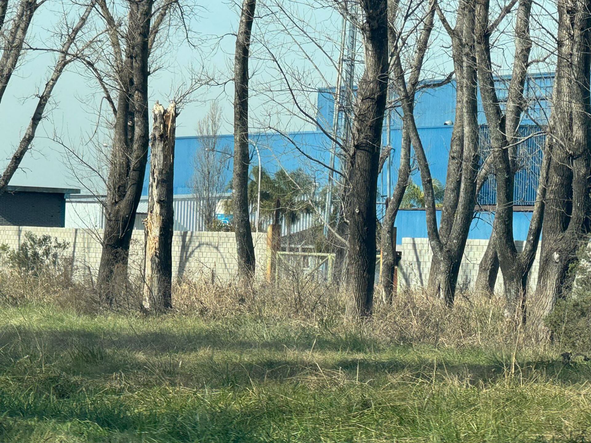 El estado de abandono del predio de Laboratorios Ramallo SA
