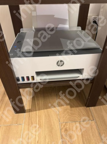 Pinto detalló el contenido de