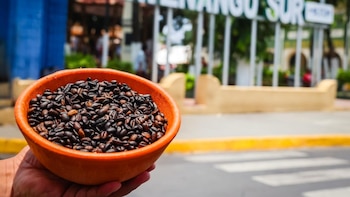 Galería: Chalatenango se llena de aromas con el Festival del Café Salvadoreño