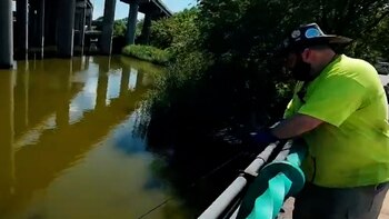 Una pareja encontró miles de dólares mientras pescaba en Nueva York