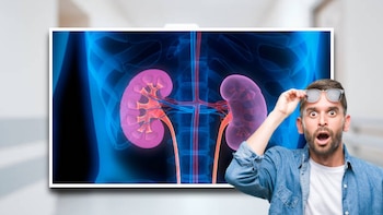 Estas son bebidas que debes