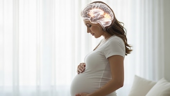 Cómo el embarazo transforma el