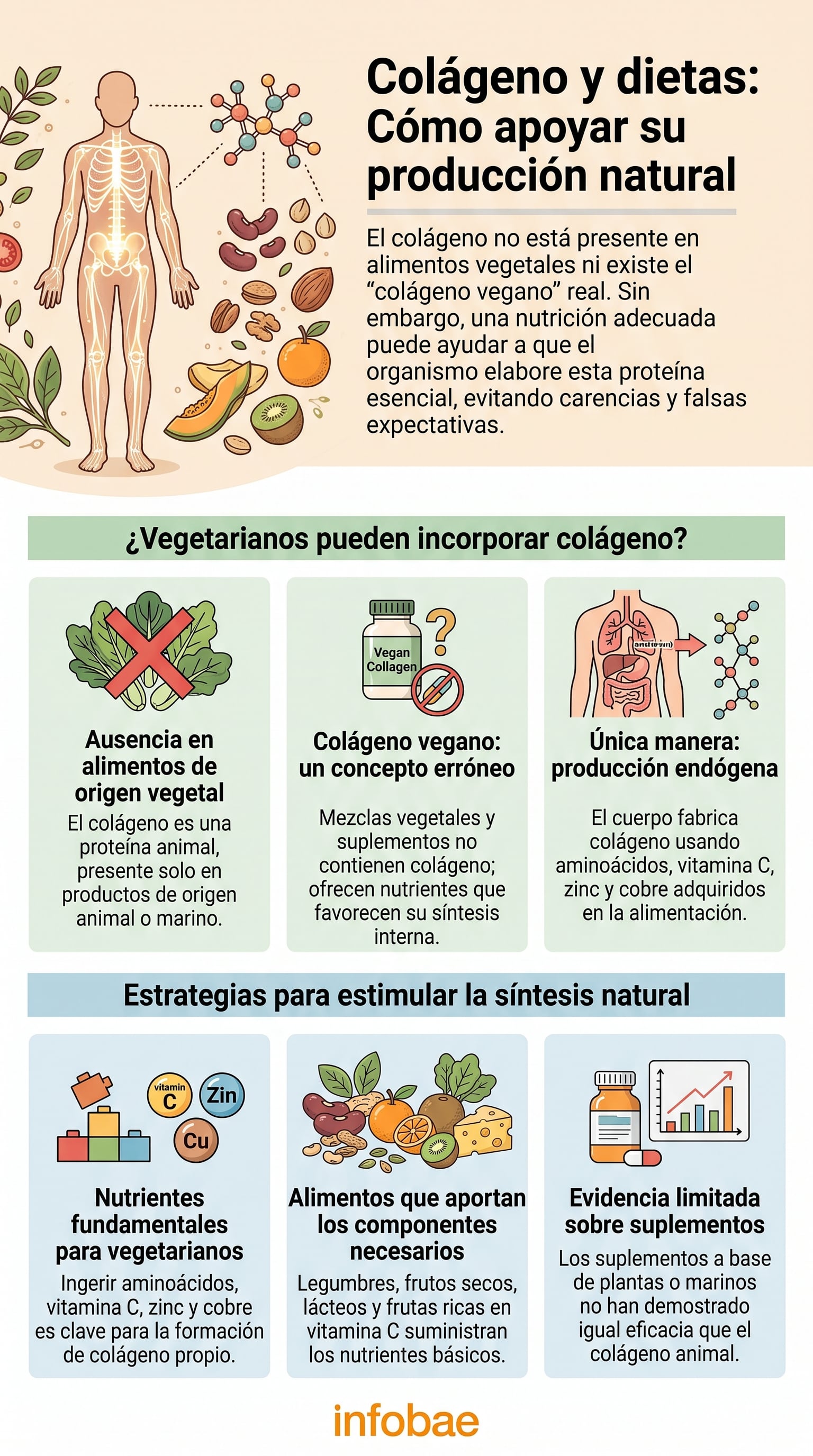El organismo produce colágeno a partir de aminoácidos y nutrientes obtenidos en la alimentación. (Imagen Ilustrativa Infobae)