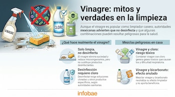 Infografía con ilustraciones de una botella de vinagre, cloro, veneno, bicarbonato y herramientas de limpieza, con textos explicativos.