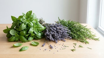 La elección de ingredientes como