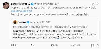 Captura de pantalla de un mensaje en la red social X publicado por Sergio Mayer que cita el comentario crítico de otro usuario