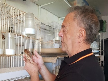 Francisco Mangas en su aviario.