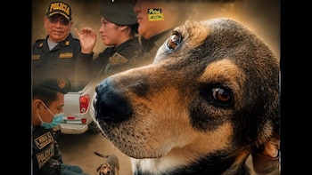 Vaguito, el perro héroe de la Policía Nacional del Perú, recibió un emotivo adiós en Trujillo