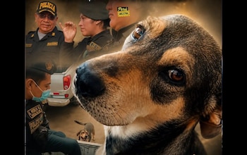 O herói da Polícia Nacional do Peru, cão Vaguito, se despede emocionado em Trujillo