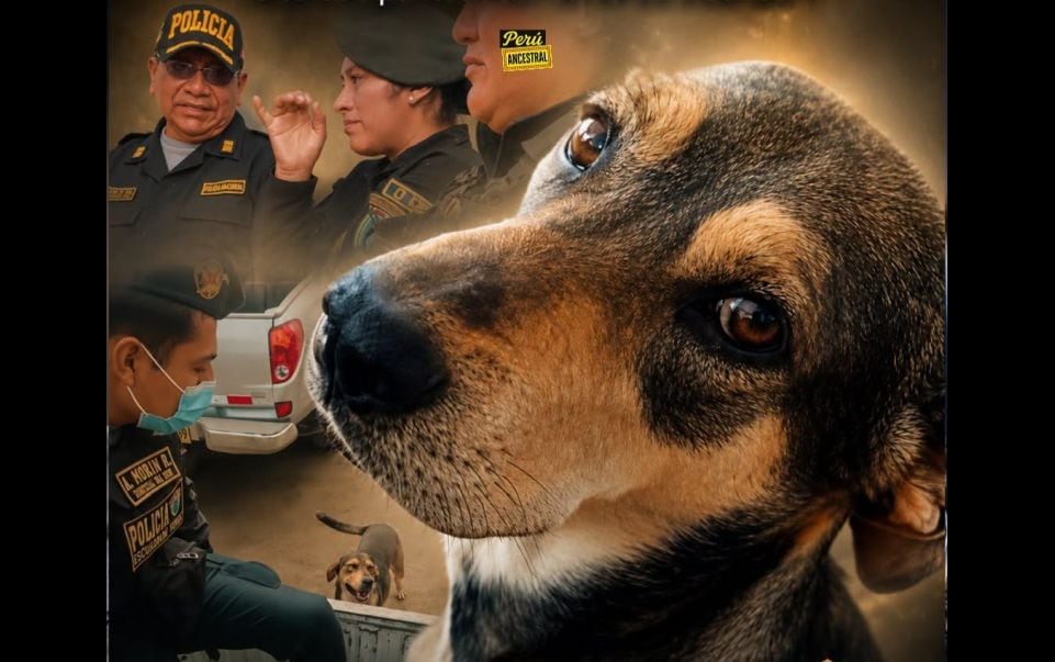 Vaguito, el perro héroe de la Policía Nacional del Perú, recibe un emotivo adiós en Trujillo