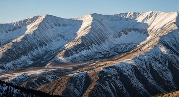 Un estudio de la Universidad