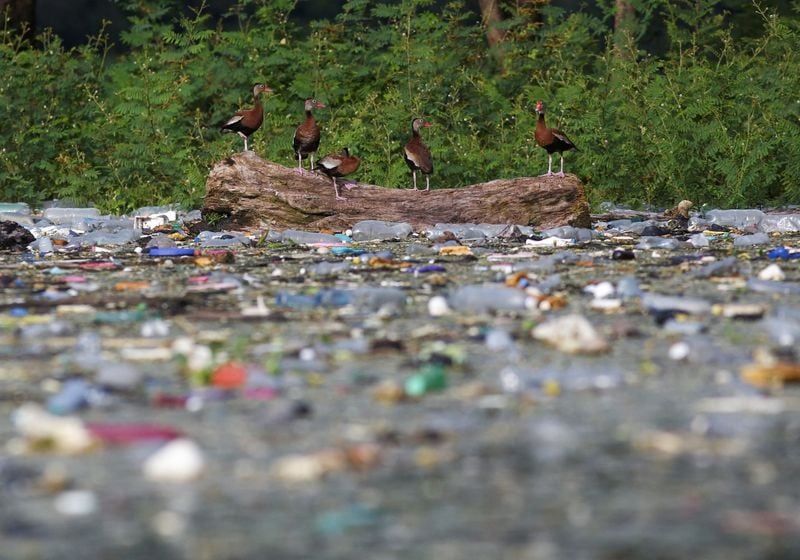 Corpamag, la Alcaldía de Santa Marta y The Ocean Cleanup acordaron explorar alternativas para interceptar residuos. - crédito REUTERS/Jose Cabezas/File Photo