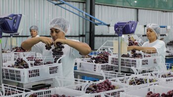 Mincetur registra incremento del 12,8