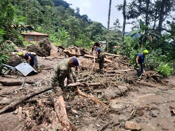 Imagen P6ERLKJJCZAU7ASTARJ3QWWXGM