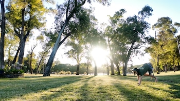 El fenómeno therian, alimentado por