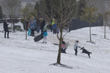 La madre de los menores