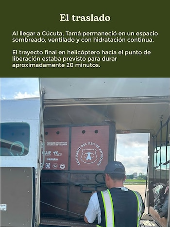 El fallecimiento de Tamá ocurrió