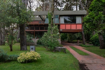 Daniel Almeida Curth diseñó la "casa árbol", construida sobre una base de piedra en medio del bosque (Diego Medina)