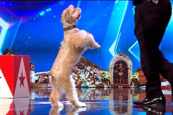 César Félix Paredes Castro llegó