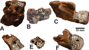 Se trazaron en 3D más