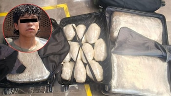 Rayos X delatan a joven que intentaba viajar de la CDMX a Veracruz con 47 kilos de marihuana en tres maletas