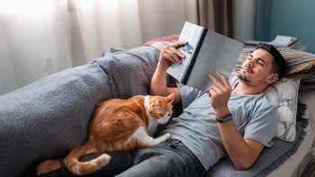 ¿Qué sucede en nuestro cuerpo