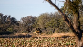 En Santiago del Estero impera