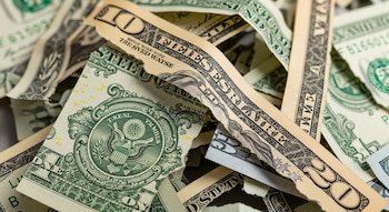 Varios billetes de uno, diez y veinte dólares de Estados Unidos, rasgados y rotos, mezclados.