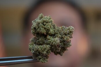 Las autoridades hallaron dos baldes