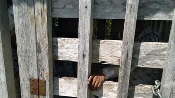 Liberaron a 11 agentes de