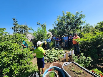 Aunque el 33% al 42% de la propiedad de la tierra está a nombre de mujeres, solo una de cada cinco parcelas femeninas es agrícola. (Foto cortesía FAO)
