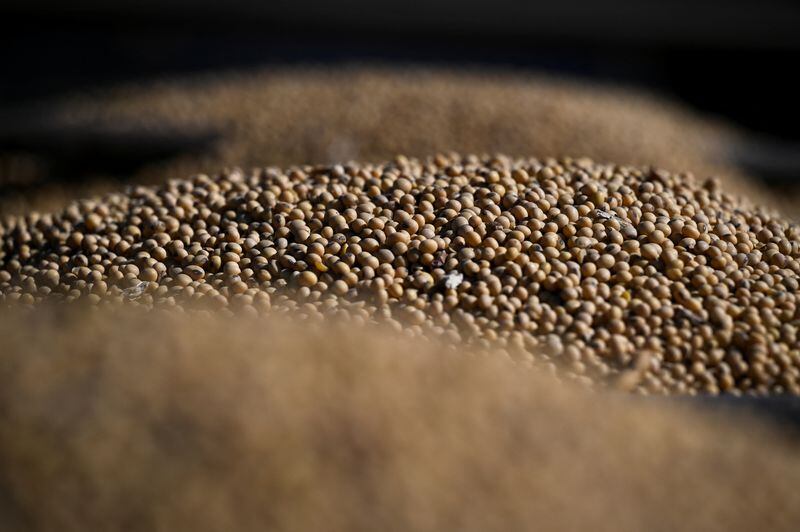 Los incentivos como el “dólar blend” y la baja temporal de retenciones impulsaron la oferta de divisas del sector (Reuters)