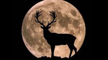 En el 2025 coincidirá con