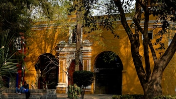 La alcaldía Coyoacán ha ofrecido