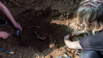 Trabajos de exhumación de restos