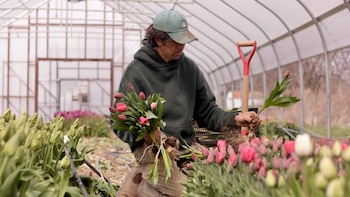 Impacto del clima errático en floricultores del noreste